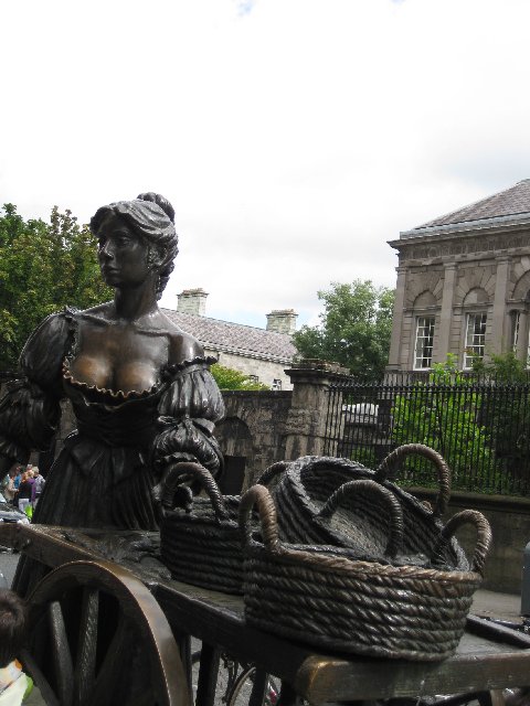 Segundo día: Trinity College-Dublinia-Catedrales-S.Stephens Green-Merrion Square - 4 días en Dublín (5)