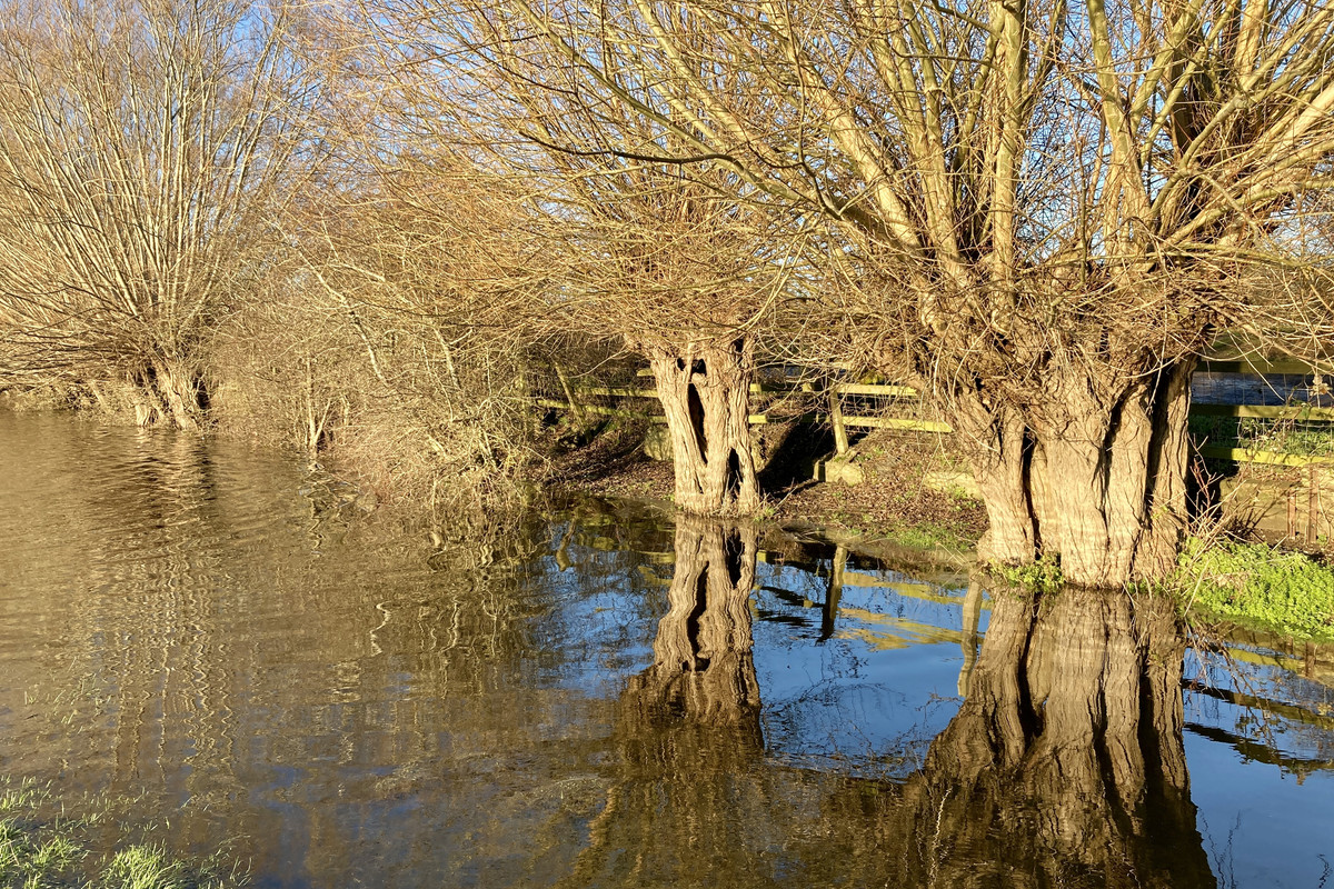 4B32D154-84CC-48B0-9FE2-532E85AA74A4