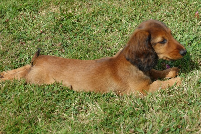 [Image: DSC00915.jpg]