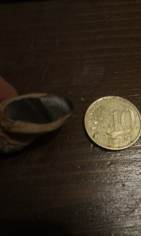 IMAG0428