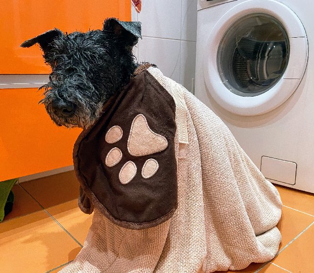 37099-D07-6-FD6-48-A2-8-B42-86660-FFC995