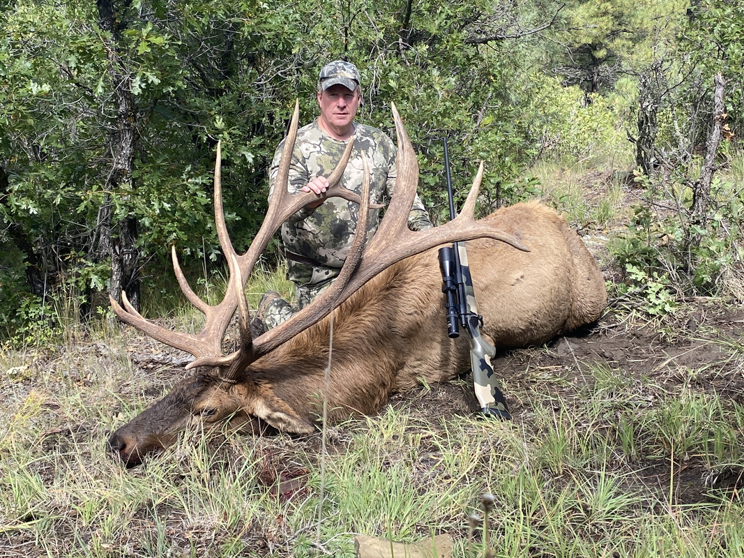 New Mexico elk success 24hourcampfire