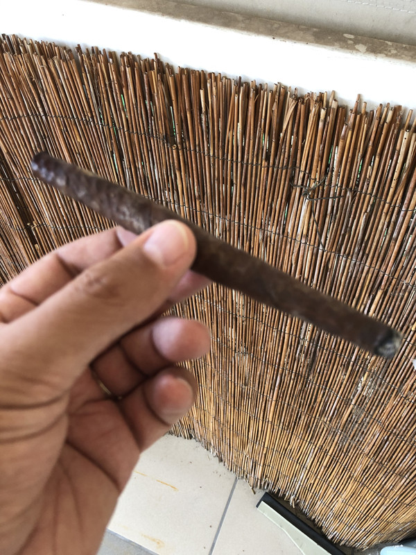 53BE1E29-30D1-4CE5-9555-55D0B4FFFFE8