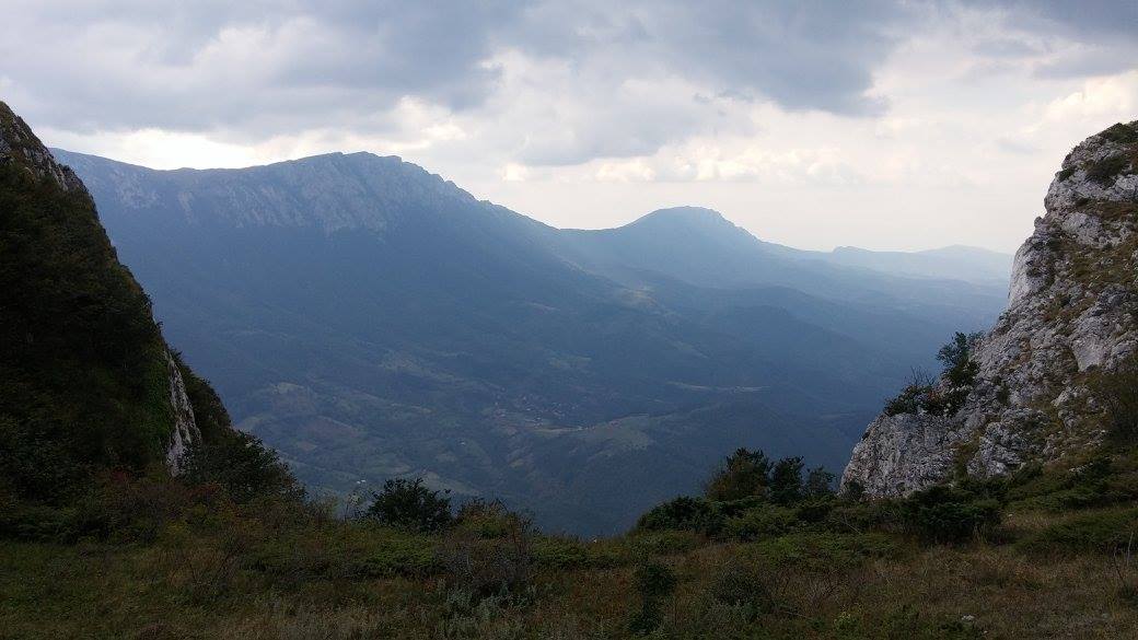 Slika