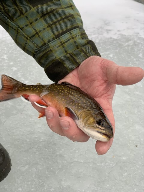 F871615F-BD01-48E7-8811-03DFDA5F35A8