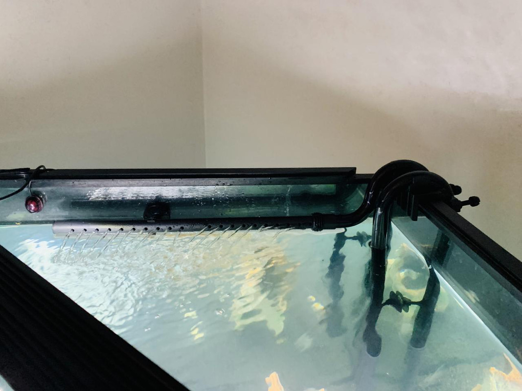 35D9A47F-C196-41DB-B7E9-B6206A6D61AC