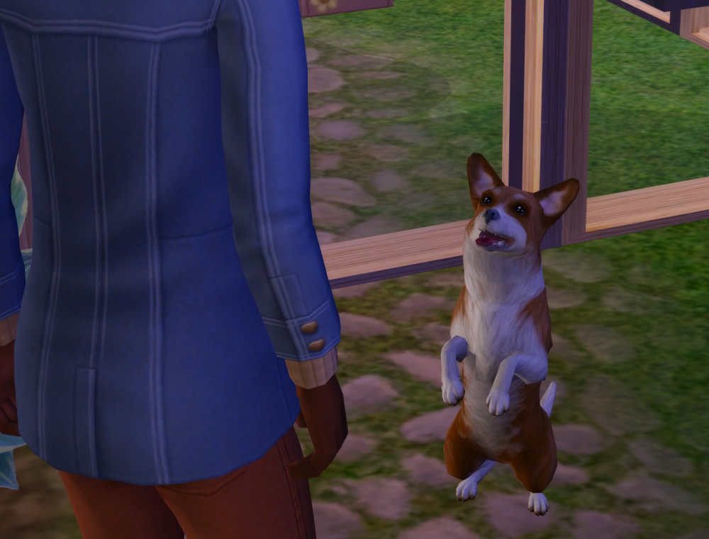 Sims2-EP9-RPC-2022-07-23-22-57-00-14