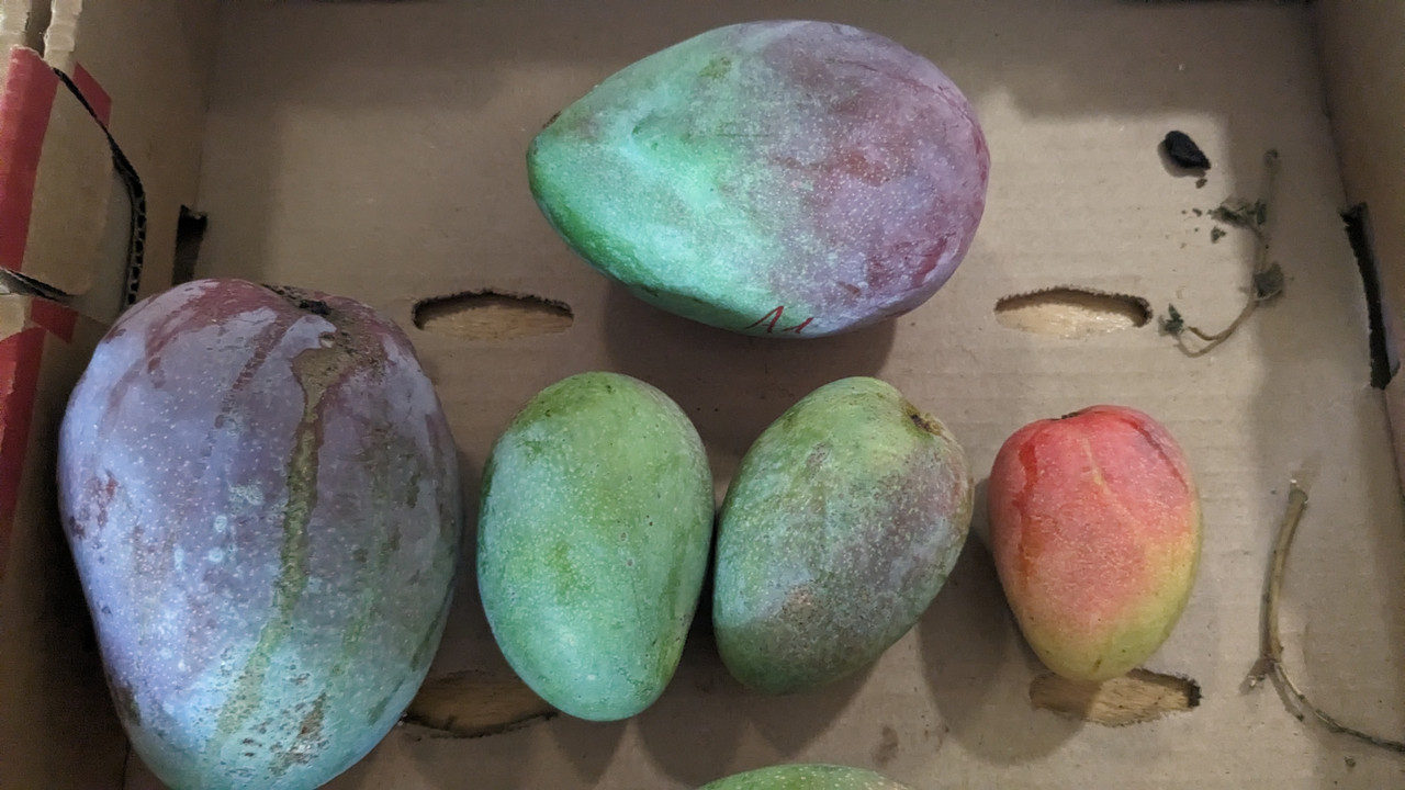 PXL_20240603_214048885.MP