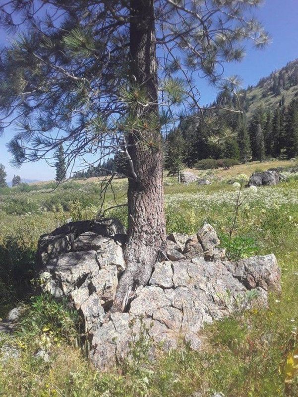 Naturaleza-8