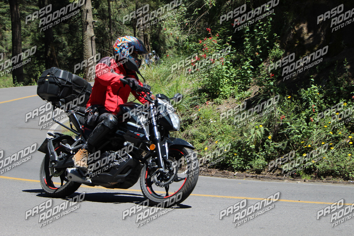 IMG 6722 wm 21313779 099999998 watermarked — Postimages