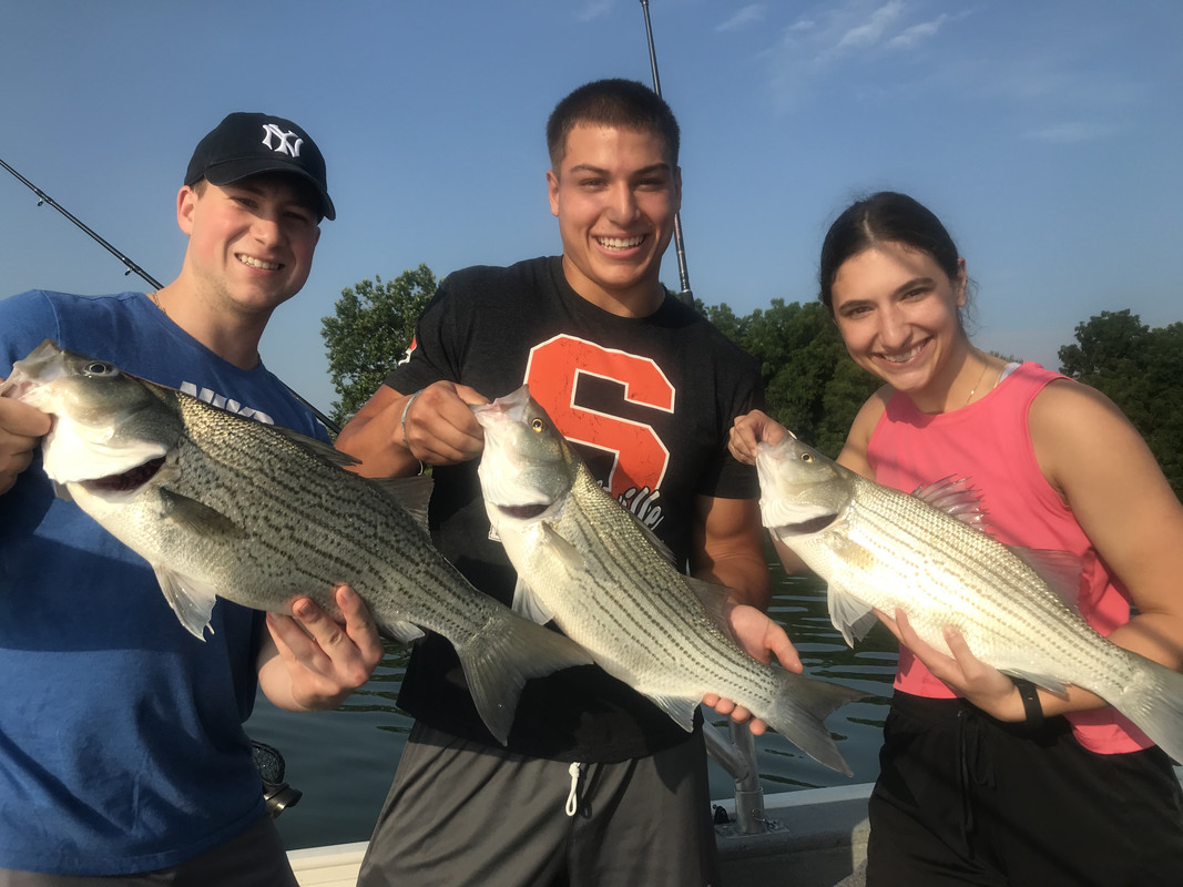 1CFE59B3-CF69-466C-A121-F4B6D8ED2019