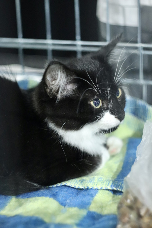 532AF2A3-075F-4E09-94F2-703426EC73A5