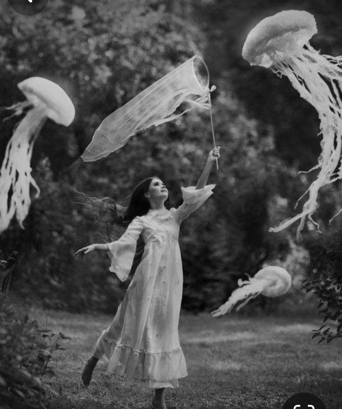 Screenshot_20240121_214201_Pinterest