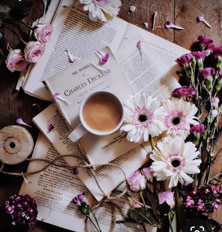 Screenshot_20240203_193341_Pinterest