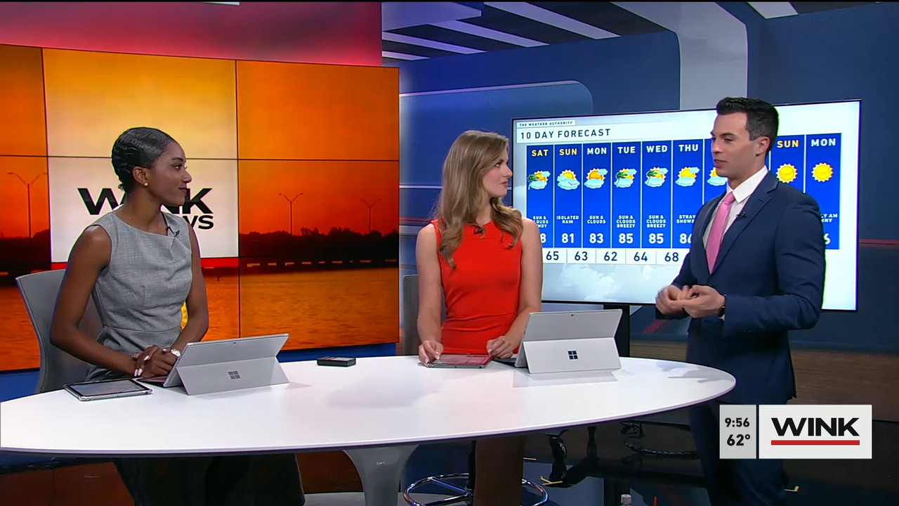 02.04 - 14.00.00 - WINK News at 9 00AM  ᴺᵉʷ. Morning news.ts_snapshot_01.02.27.467
