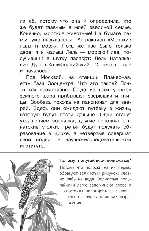 Durova-Natalija-Moj-dom-na-kolosah-page-0008