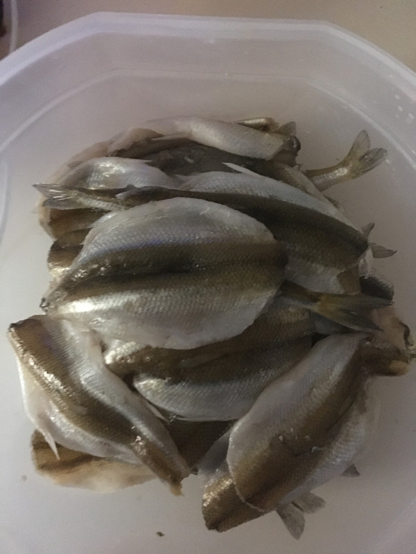 A60F3F70-A08E-4CA6-AC09-BD7CEBCC2F02