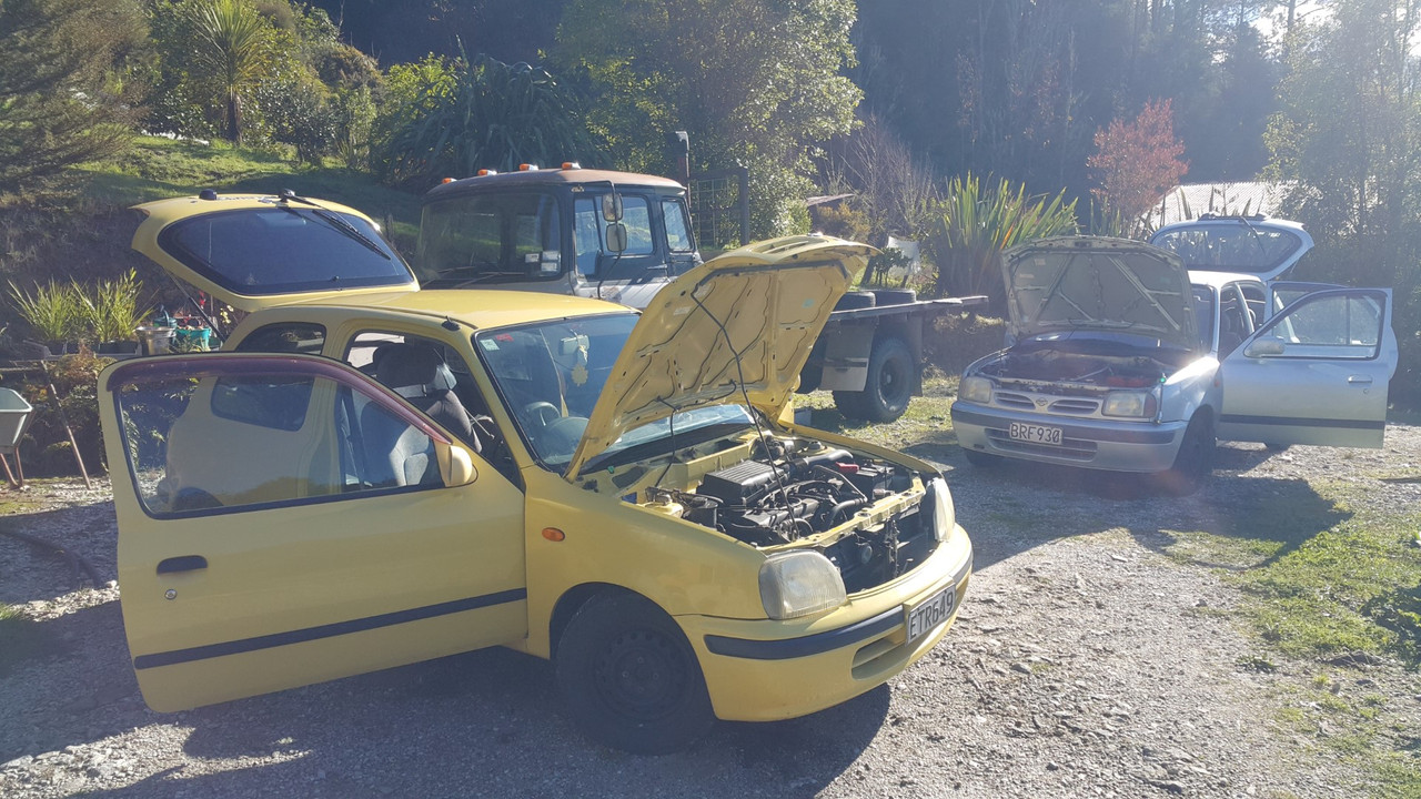 20210601_124108 (Large)