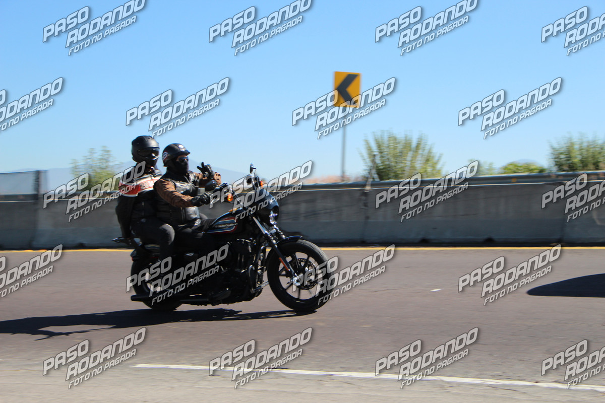 IMG 2766 wm 8511257 5 watermarked — Postimages