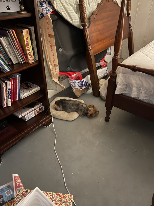 54D8CD18-18C6-42BE-8E0D-209673494627