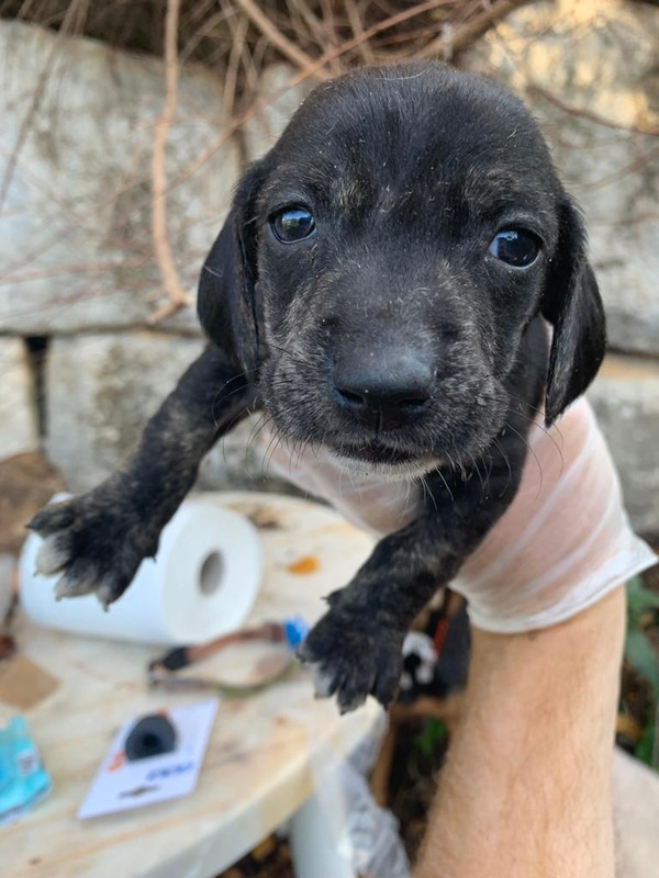 79F8A0A5-8338-496E-9627-274E263254D0