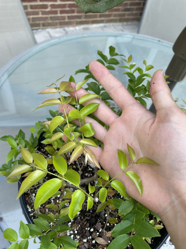 85611936-02BA-4AEE-B934-8E59901D0E0E