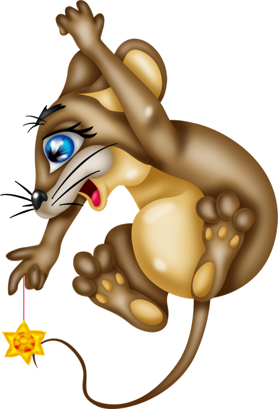 Christmas in Forest36