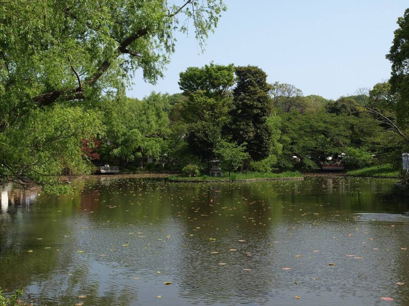 1063-tsurugaoka-Genpei-ike-Pond