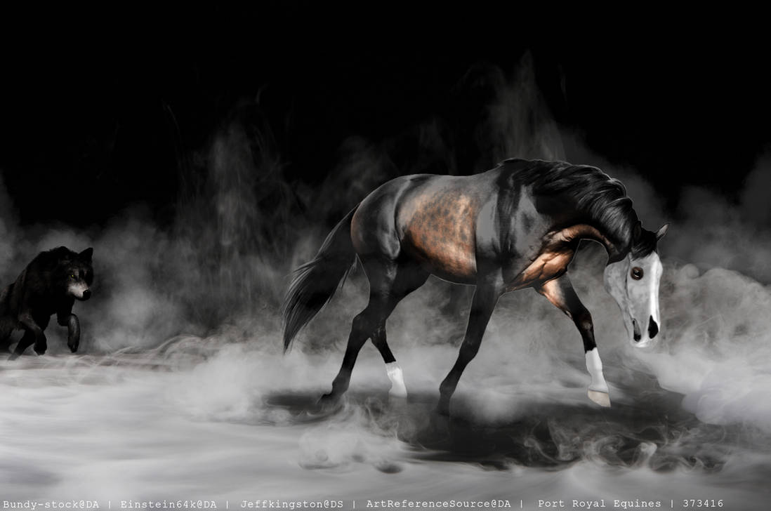 the-hunted-stock-art-1-by-portroyalequines-dhm3fvj-pre.jpg