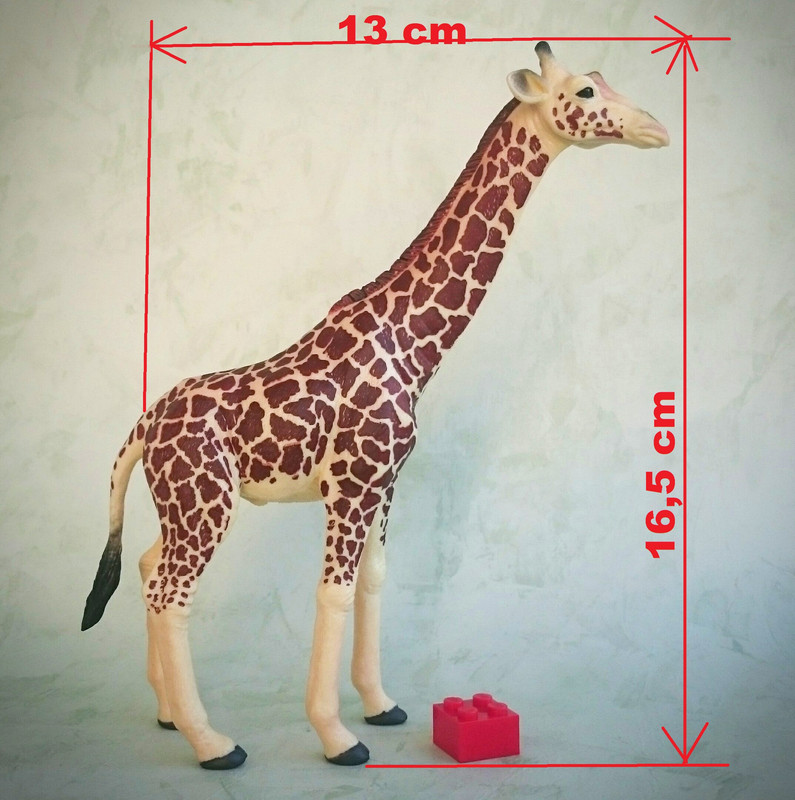 Mojo 2020 - Masai Giraffe 20200627-130814a
