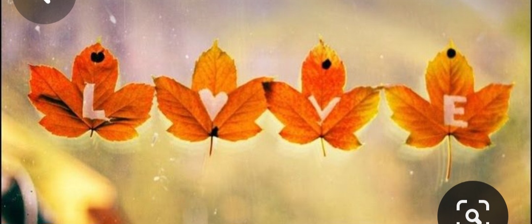 Screenshot_20240214_175340_Pinterest