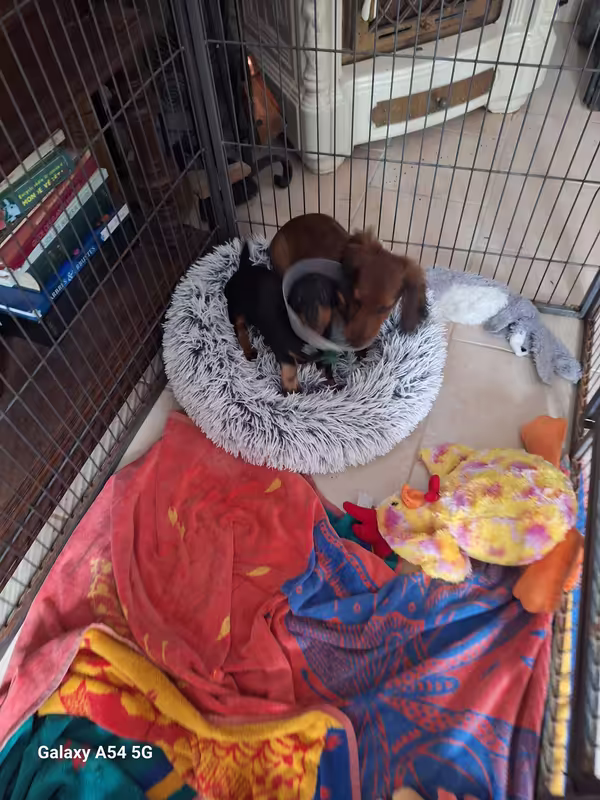 [Image: 20240928-113929.avif]