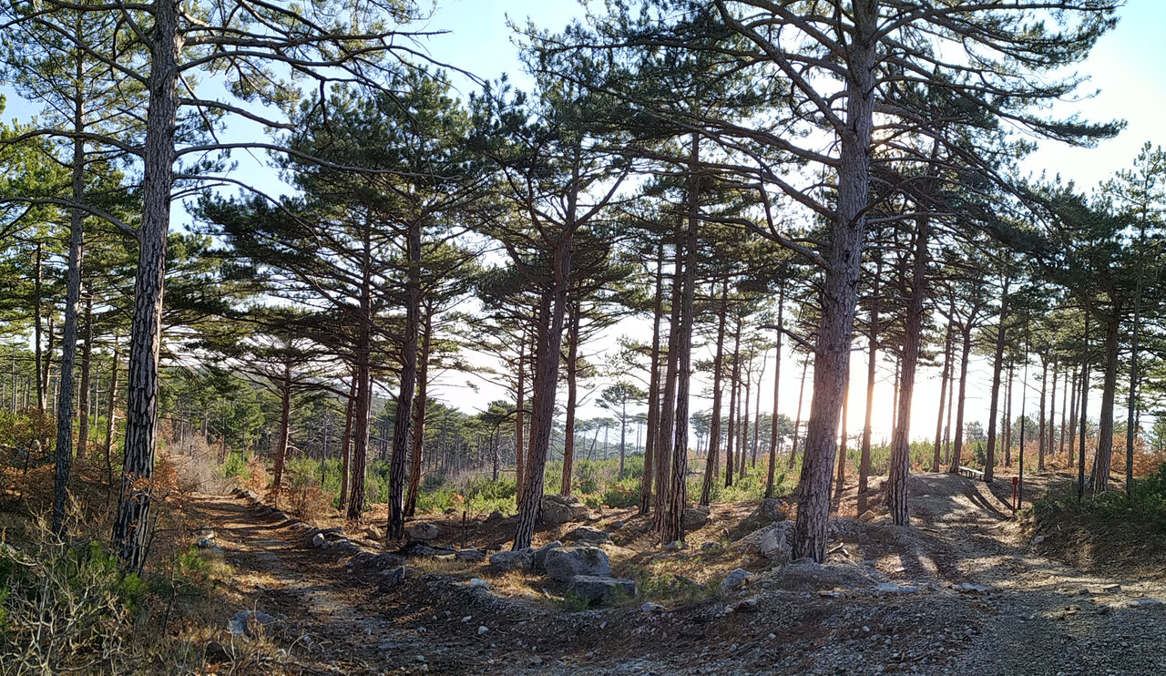 PANO_20250126_105014