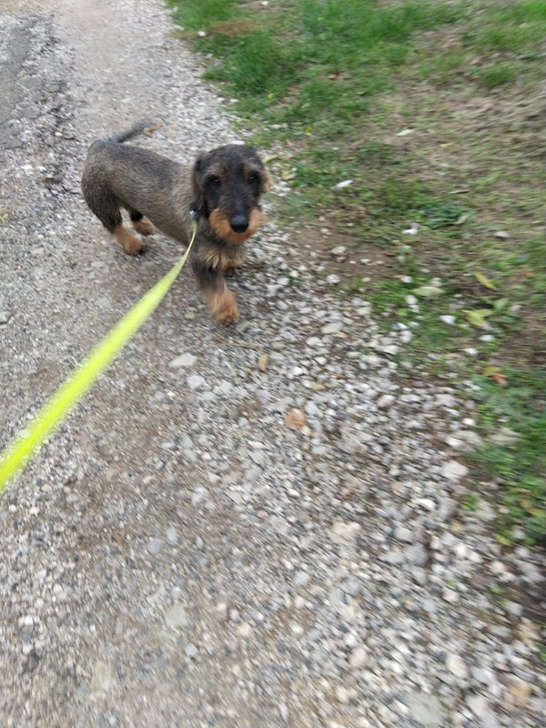 [Image: image000000-17.jpg]