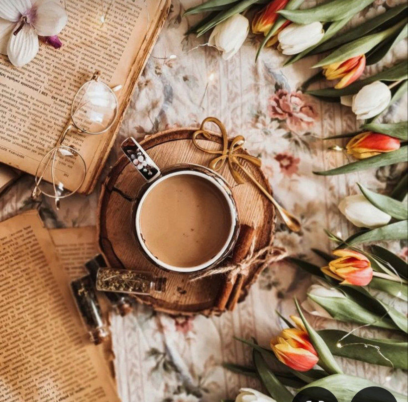 Screenshot_20240715_155252_Pinterest