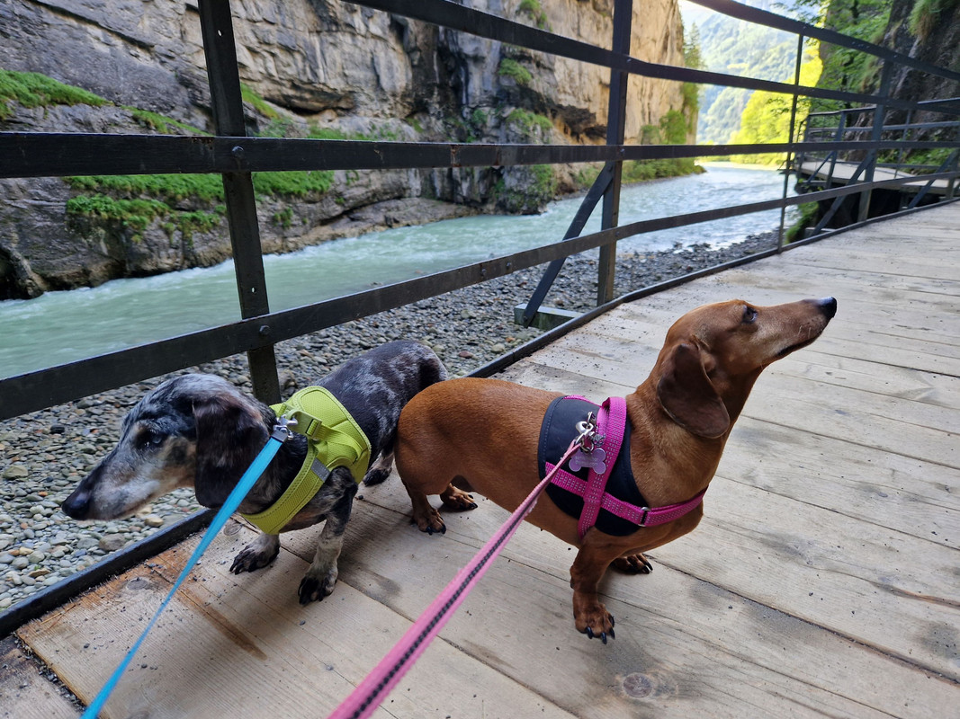 [Image: 20240624-102300.jpg]