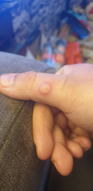 Whats App Image 2025 12 04 at 18 41 15 4df62188