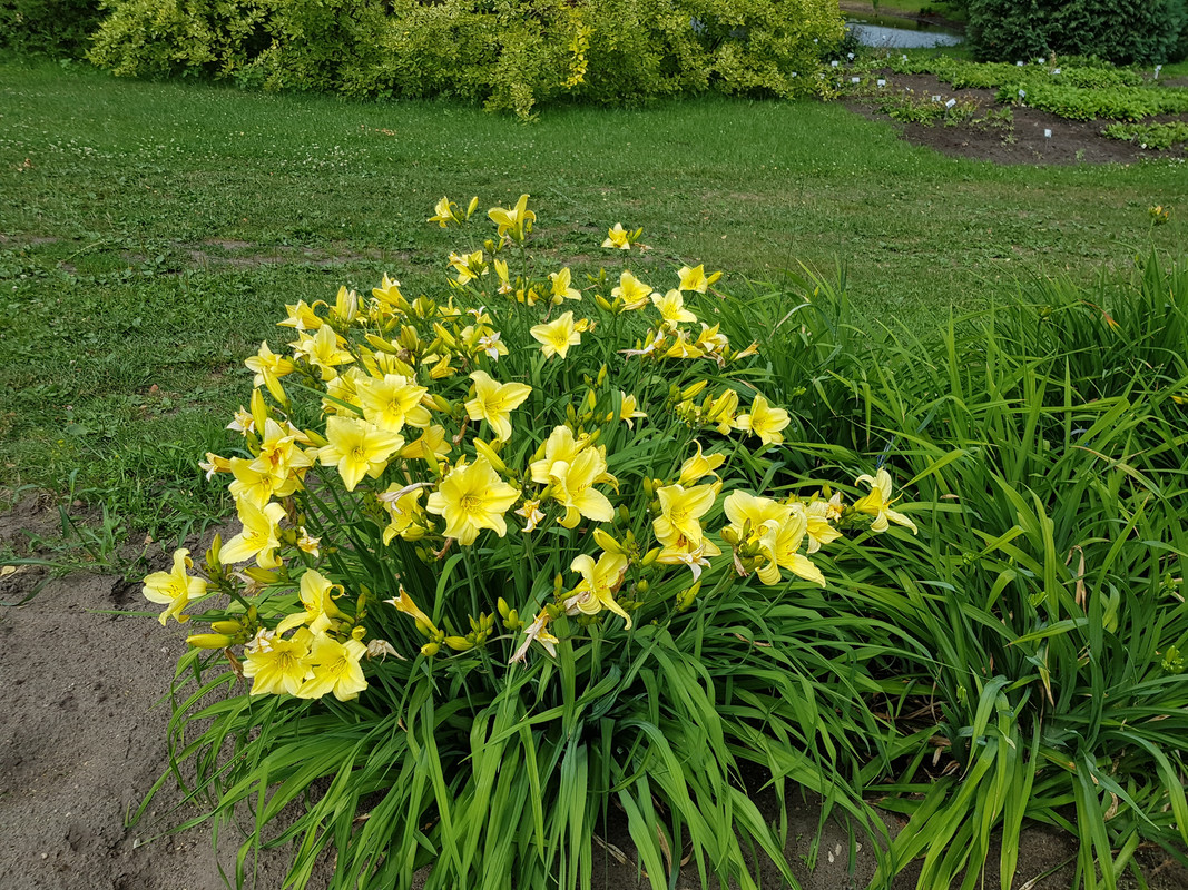 20190629-123038.jpg