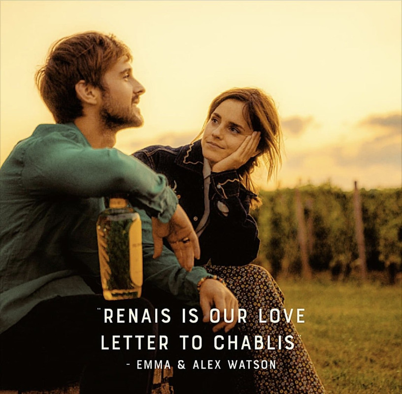 emmawatson-photogallery.blogspot.com (1)