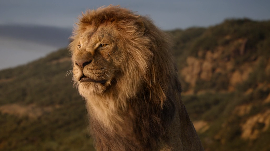 vlcsnap-2019-10-13-13h09m12s276