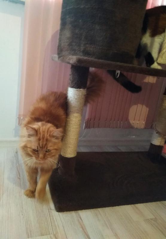 Ci9EAPFuGYc.jpgхзх