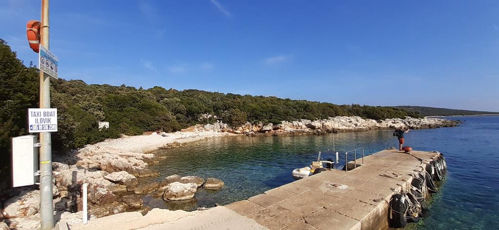 20191023_142609-1 (4)