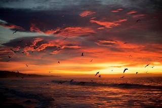 45502955-2017325131644120-7979725477038260224-n