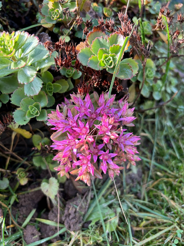 4a Dd6i Eo OGLOu KT Lcs T1f Doly KALf Pp JYIVs Qzi7YG1f Pf EJrh ZCNq Op Wc Rbi Jse3N0E b4v Bw Vme Ix