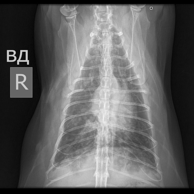 baff6f60-7b82-4373-8c3e-7b2e808608da
