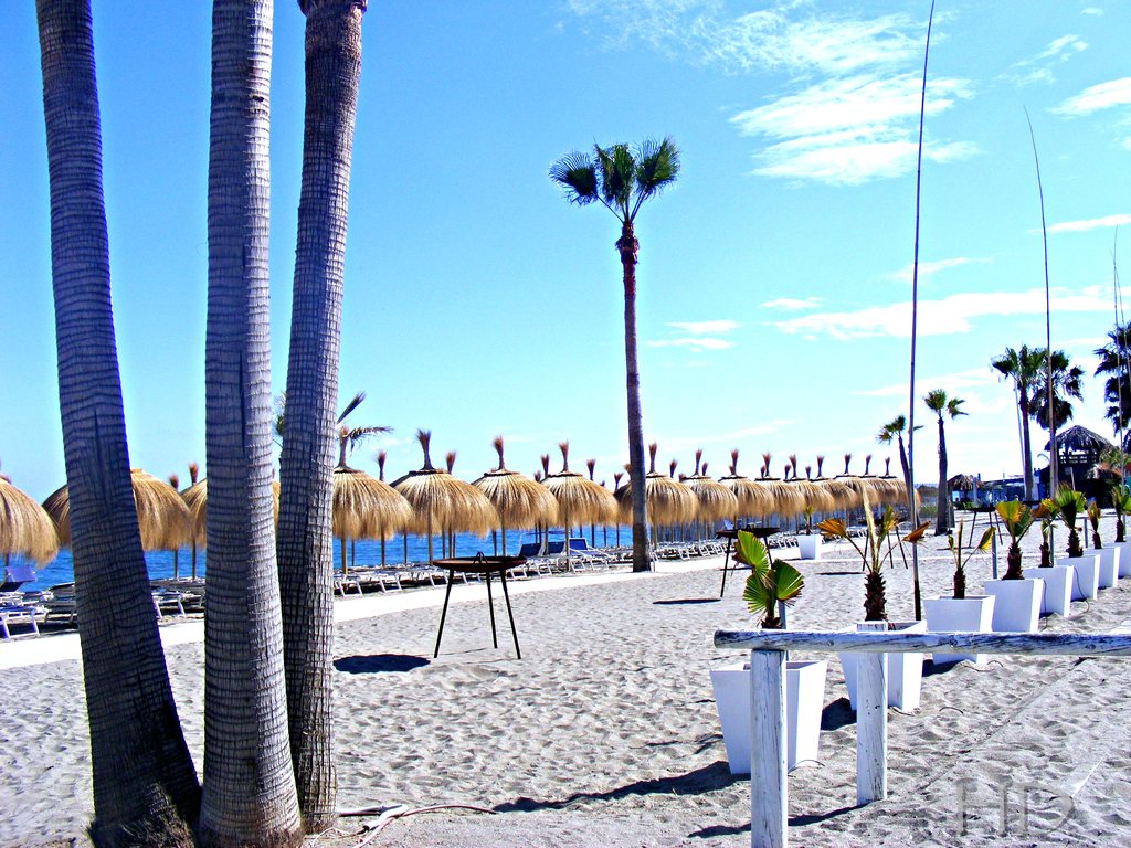 Spain-Beach-San-Pedro-Spain-Winter-HD.jpg