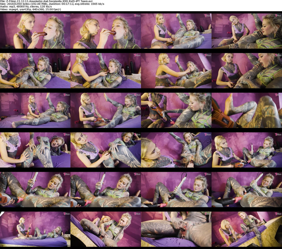 20082024222810screenshot