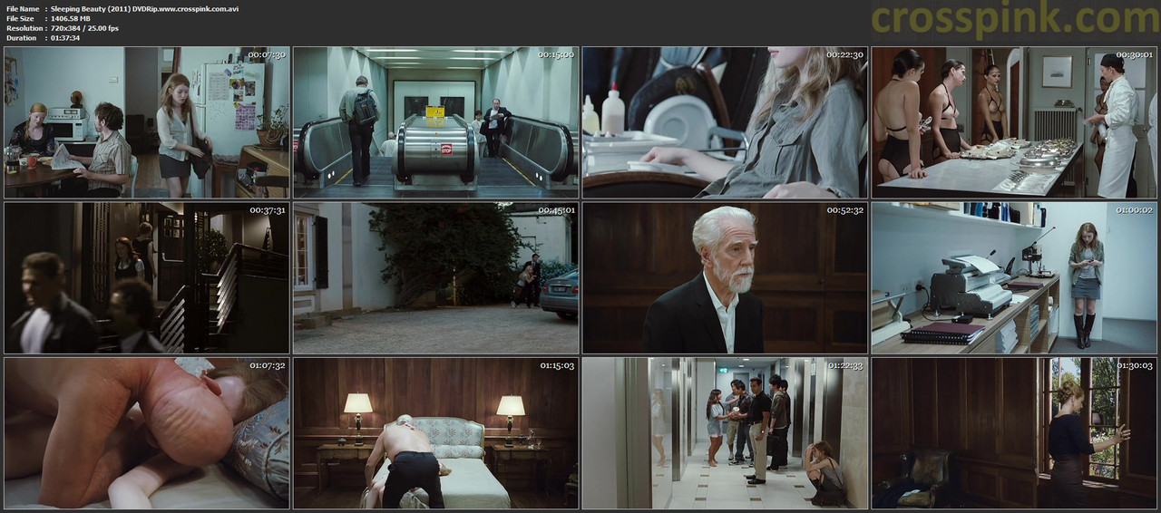 Sleeping Beauty (2011) DVDRip.www.crosspink.com.avi