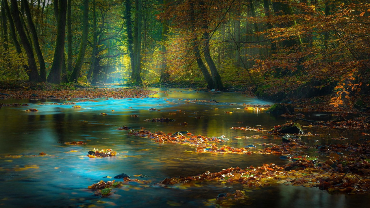 turquoisegermanyblackforestxtralarge.jpg
