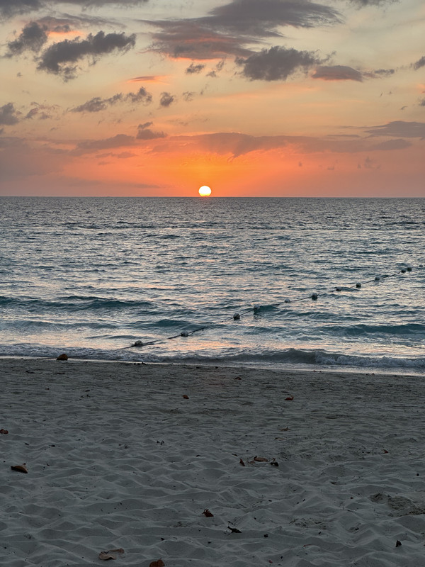 FA86D38D-26C9-4079-87B6-D81B9F46334E